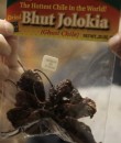 joolik