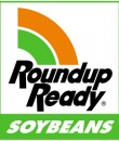 roundup_ready_soybeans