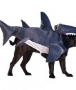 dog-shark-costume