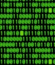 wrapping_paper-binary